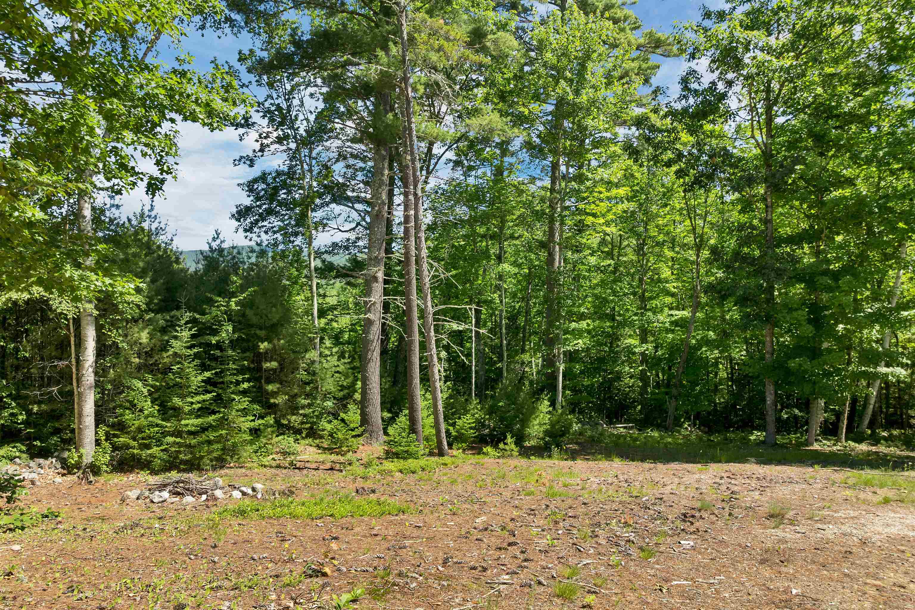 0 Beaver Pond Road Moultonborough, NH 03254 - Photo 40 of 46