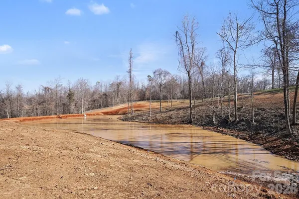 a view of a backyard with large trees