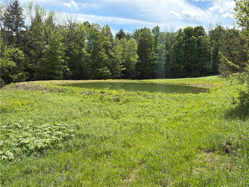 46 County Road Norwich, NY 13815 - Photo 5 of 27