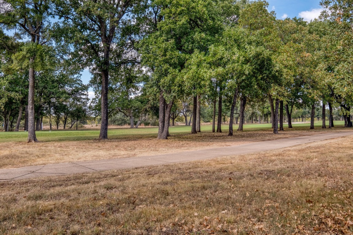 205 Flint Ridge Trail Georgetown, TX 78628 - Photo 38 of 40 a view of outdoor space with trees
