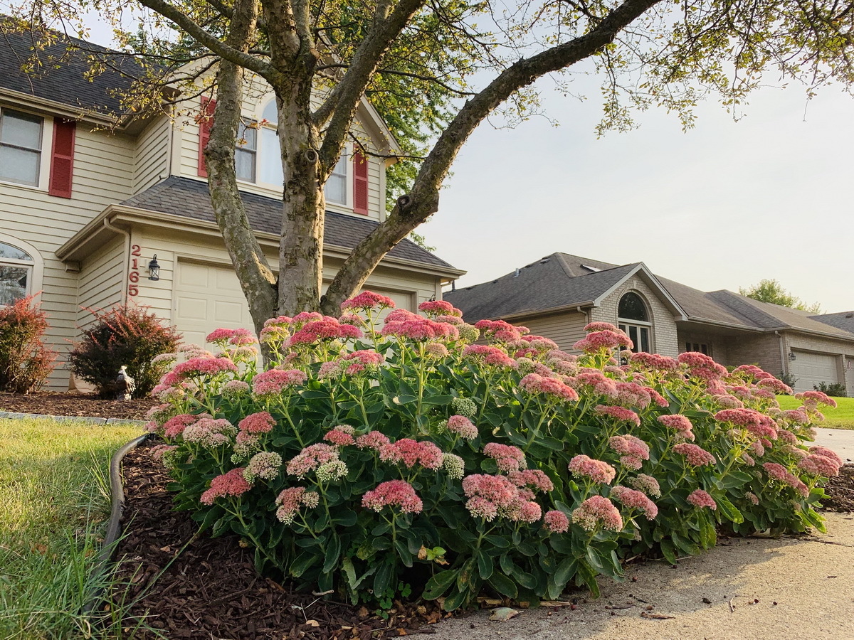 2165 Hidden Valley Drive Naperville, IL 60565 - Photo 28 of 29