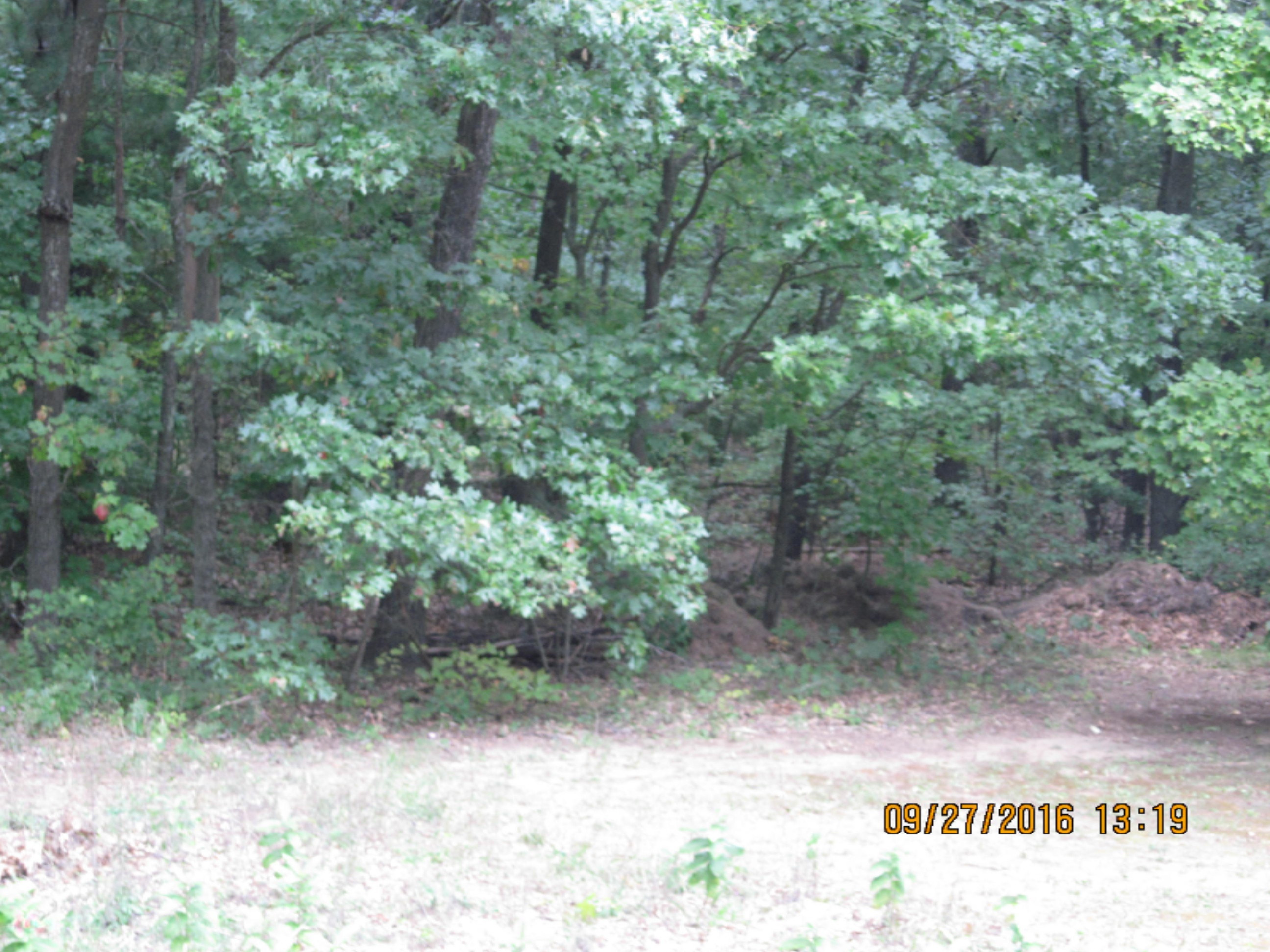 3150 Weesies Road Montague, MI 49437 - Photo 27 of 28 IMG_0041