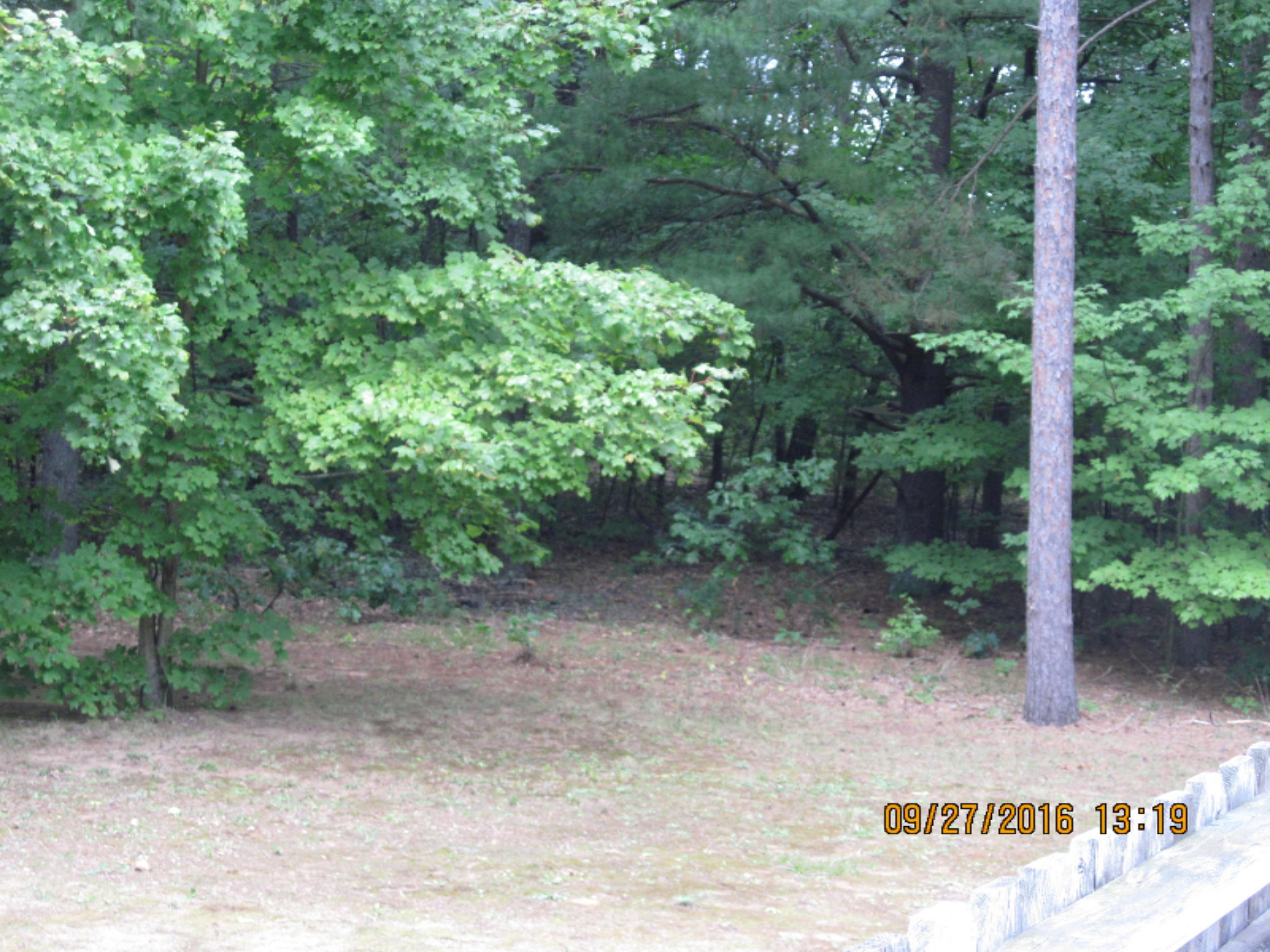 3150 Weesies Road Montague, MI 49437 - Photo 28 of 28 IMG_0042
