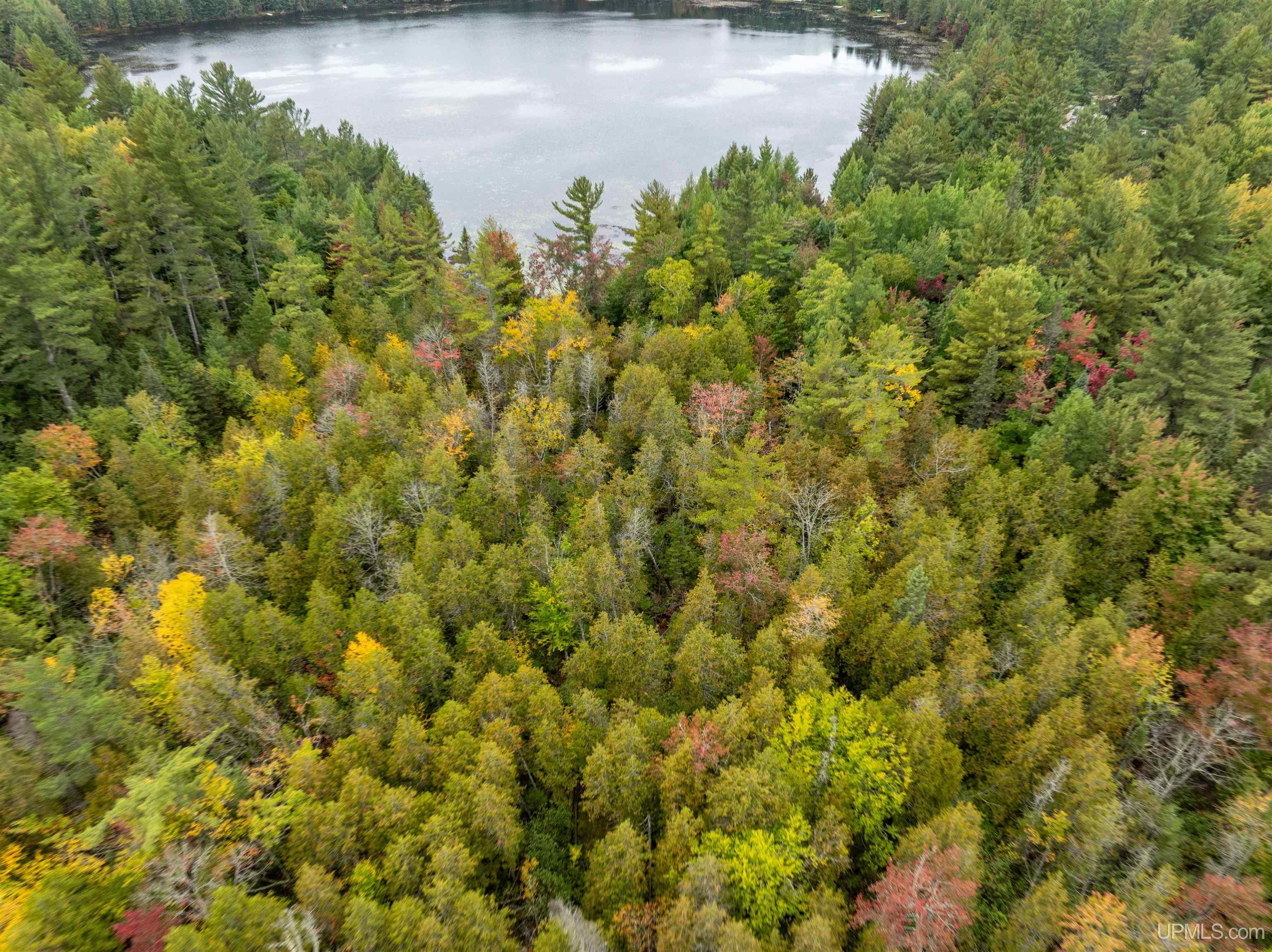 Tbd Leatherleaf Lane Munising, MI 49862 - Photo 21 of 24