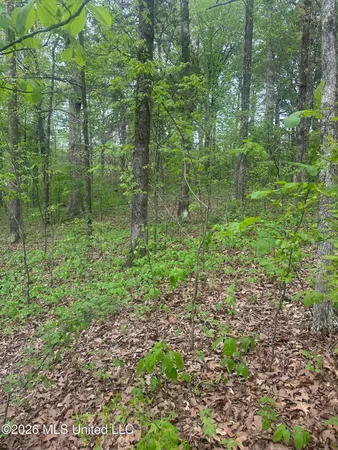 $59,000 | 8768-8750 Bobwhite Drive, Hernando, MS 38632