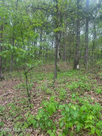$59,000 | 8768-8750 Bobwhite Drive, Hernando, MS 38632