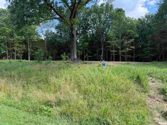 $17,500 | Lot 305 Pecan Point Lane, Goreville, IL 62939