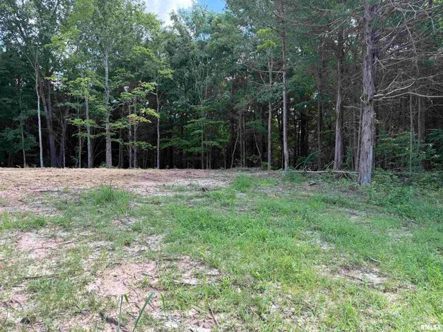 $17,500 | Lot 305 Pecan Point Lane, Goreville, IL 62939