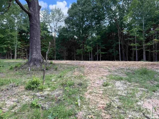 $17,500 | Lot 305 Pecan Point Lane, Goreville, IL 62939