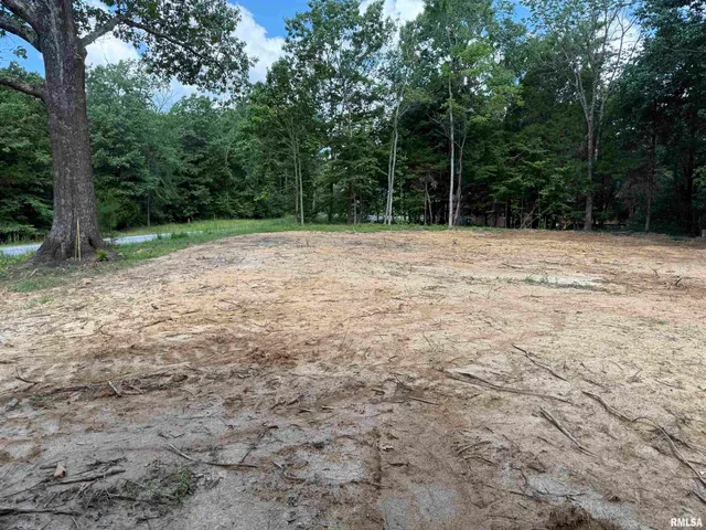 $17,500 | Lot 305 Pecan Point Lane, Goreville, IL 62939