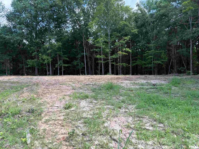 $17,500 | Lot 305 Pecan Point Lane, Goreville, IL 62939