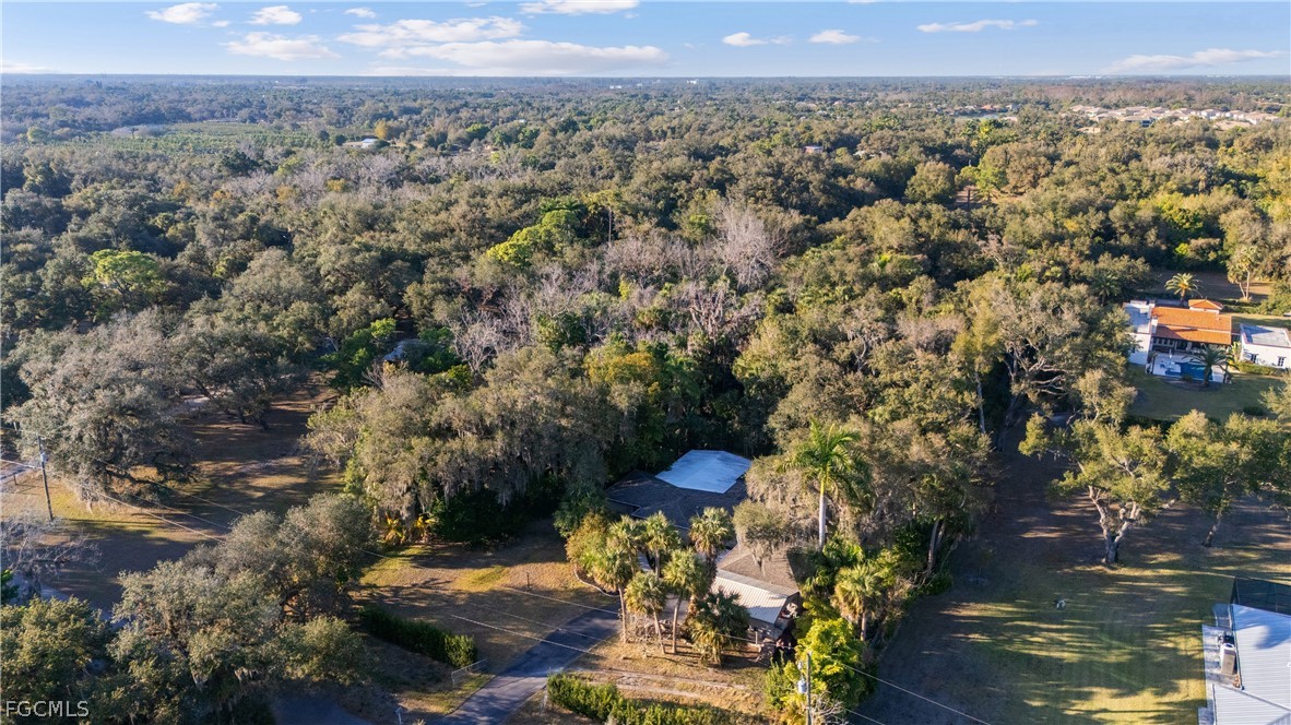 13101 Idylwild Road Fort Myers, FL 33905 - Photo 41 of 49