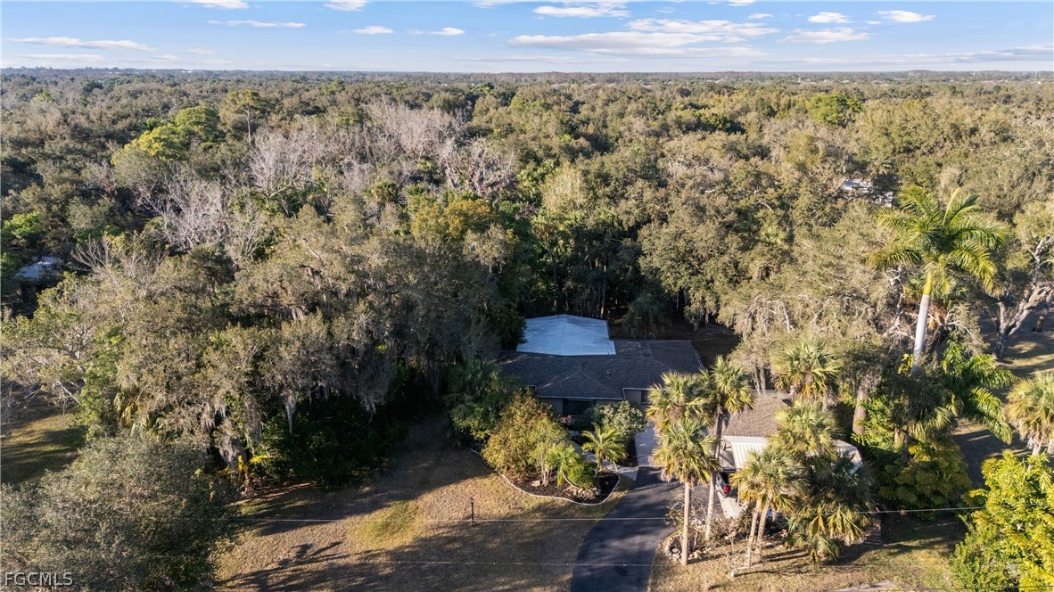 13101 Idylwild Road Fort Myers, FL 33905 - Photo 43 of 49