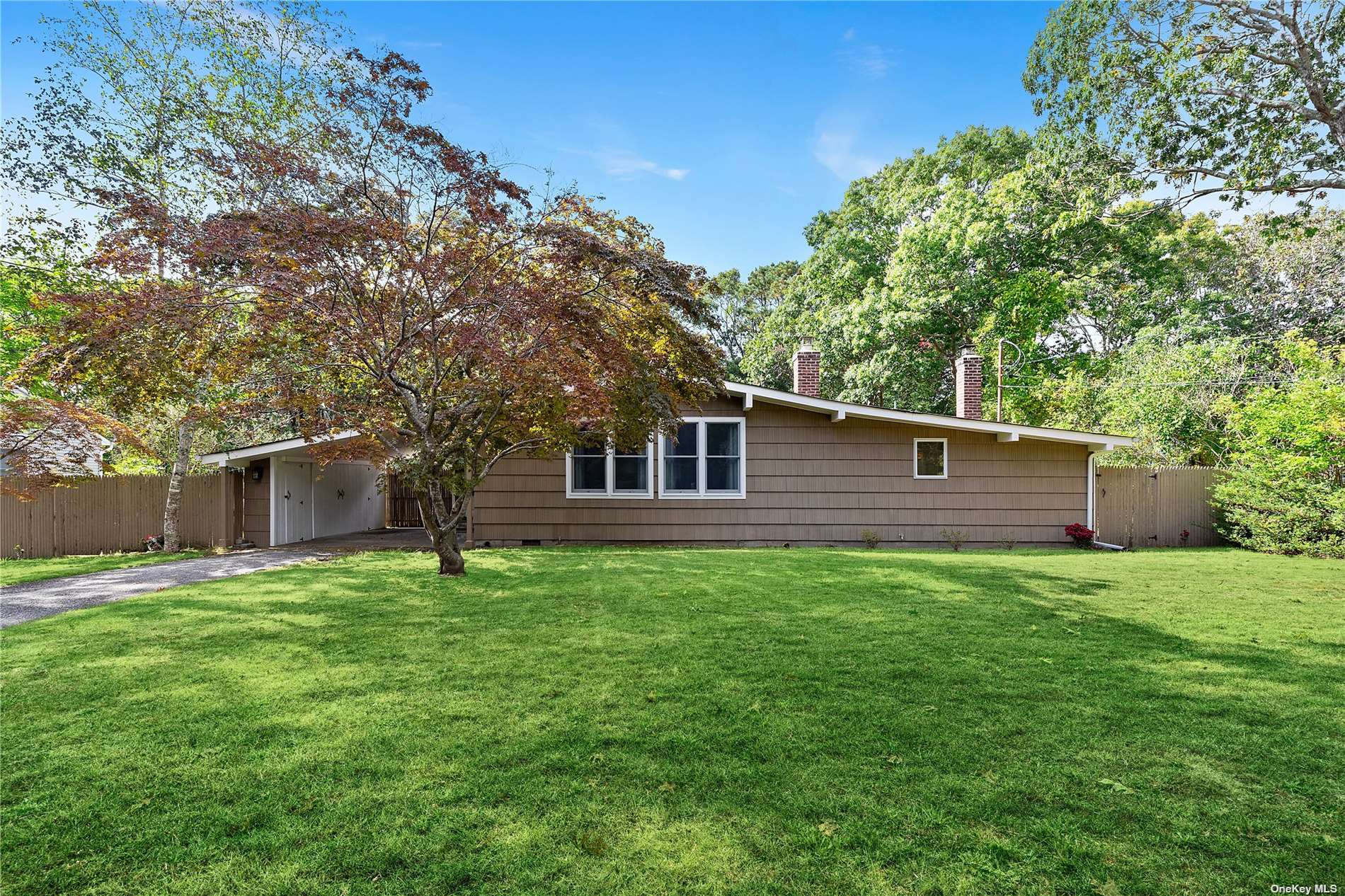 a backyard of a house with large trees and a large tree