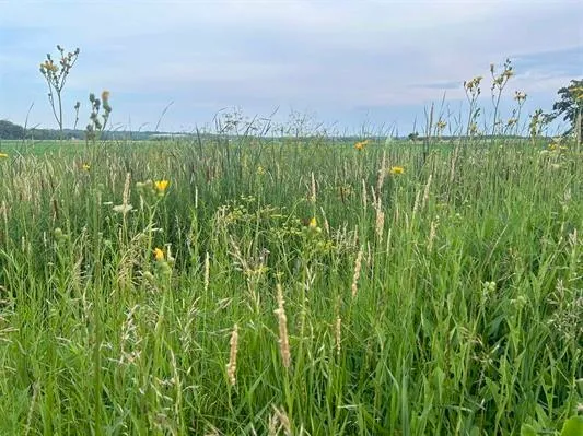 $485,000 | 1299 County Rd Pb, Belleville, WI 53508