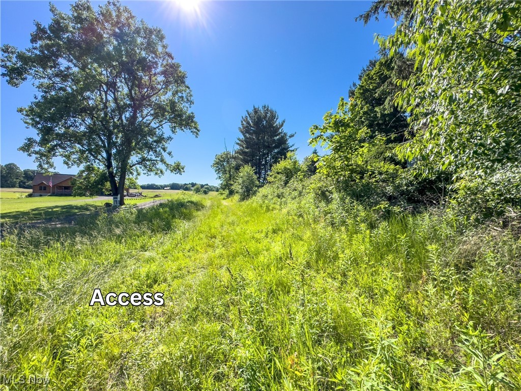 0 Taylor Road Doylestown, OH 44230 - Photo 2 of 22 View of nature
