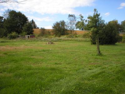 8961 Levans Road Kempton, PA 19529 - Photo 4 of 11 Yard