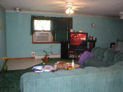 8961 Levans Road Kempton, PA 19529 - Photo 8 of 11 Living room