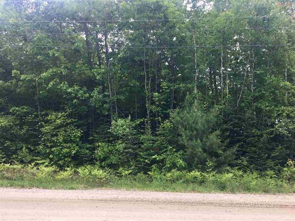 0 Oak Ridge Road Bethlehem, NH 03574 - Photo 3 of 5