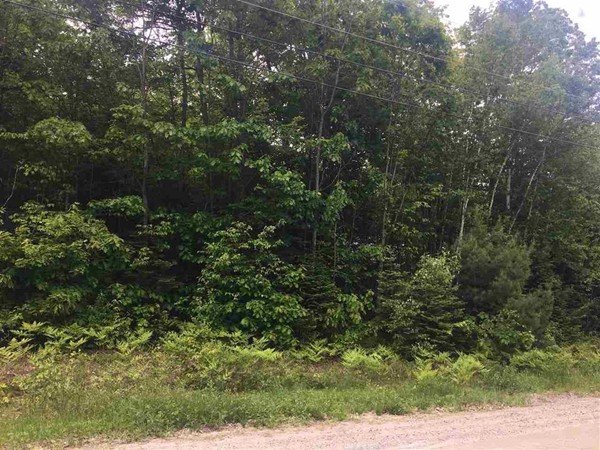 0 Oak Ridge Road Bethlehem, NH 03574 - Photo 5 of 5