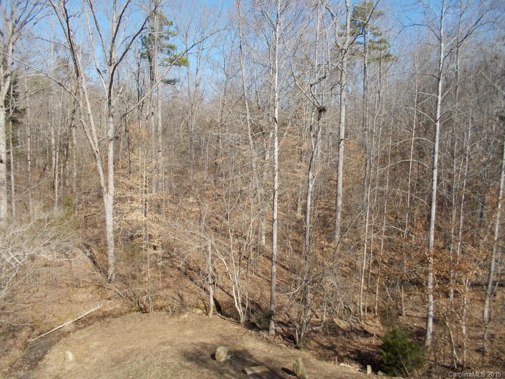 280 Point Carpenter Road Fort Mill, SC 29707 - Photo 2 of 5