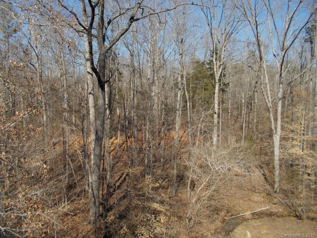 280 Point Carpenter Road Fort Mill, SC 29707 - Photo 3 of 5