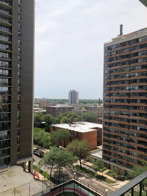 6033 North Sheridan Road, Unit 11G Chicago, IL 60660 - Photo 4 of 12