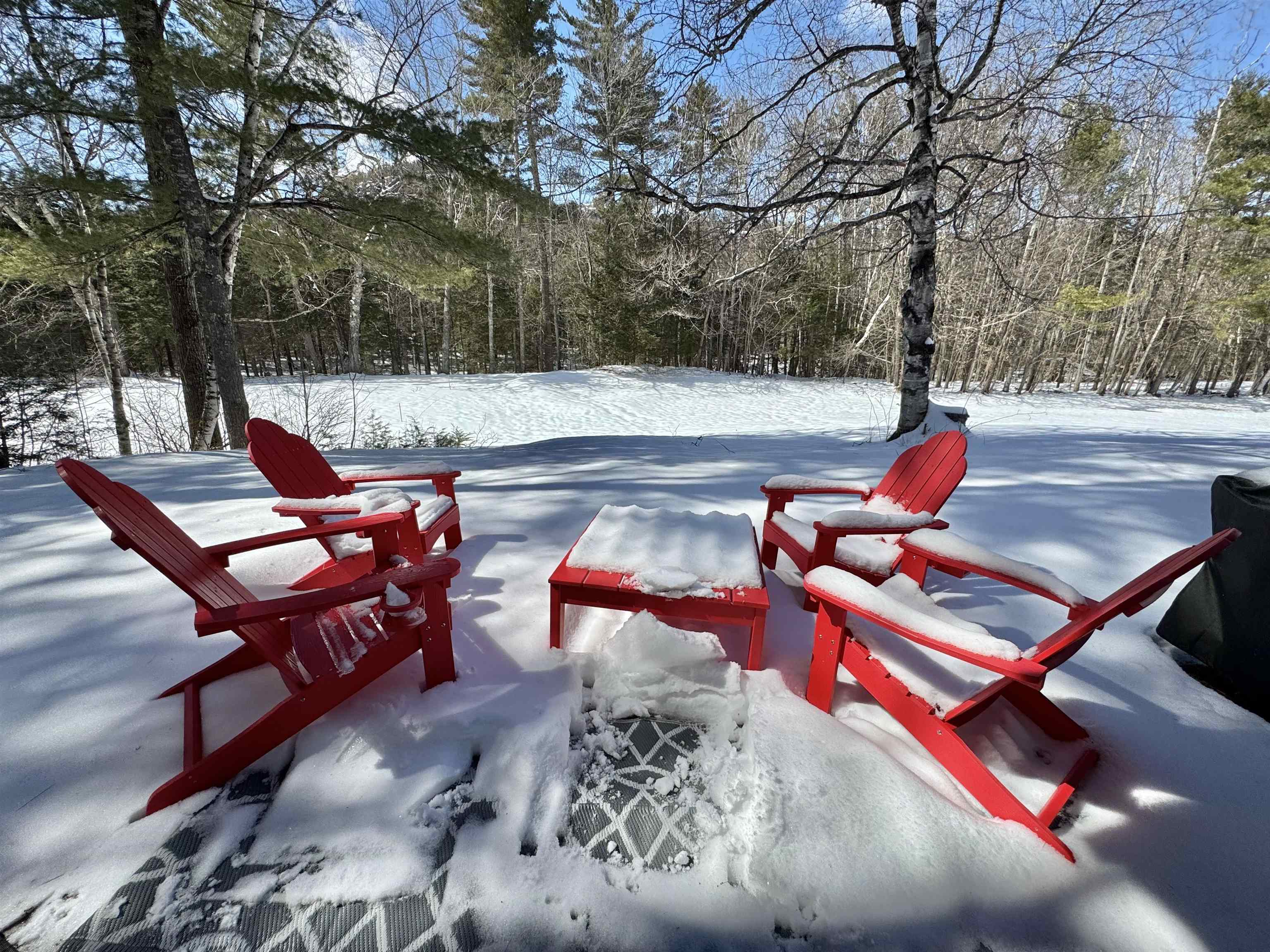 48 Linderhof Golf Course Road, Unit E3 Bartlett, NH 03838 - Photo 25 of 38