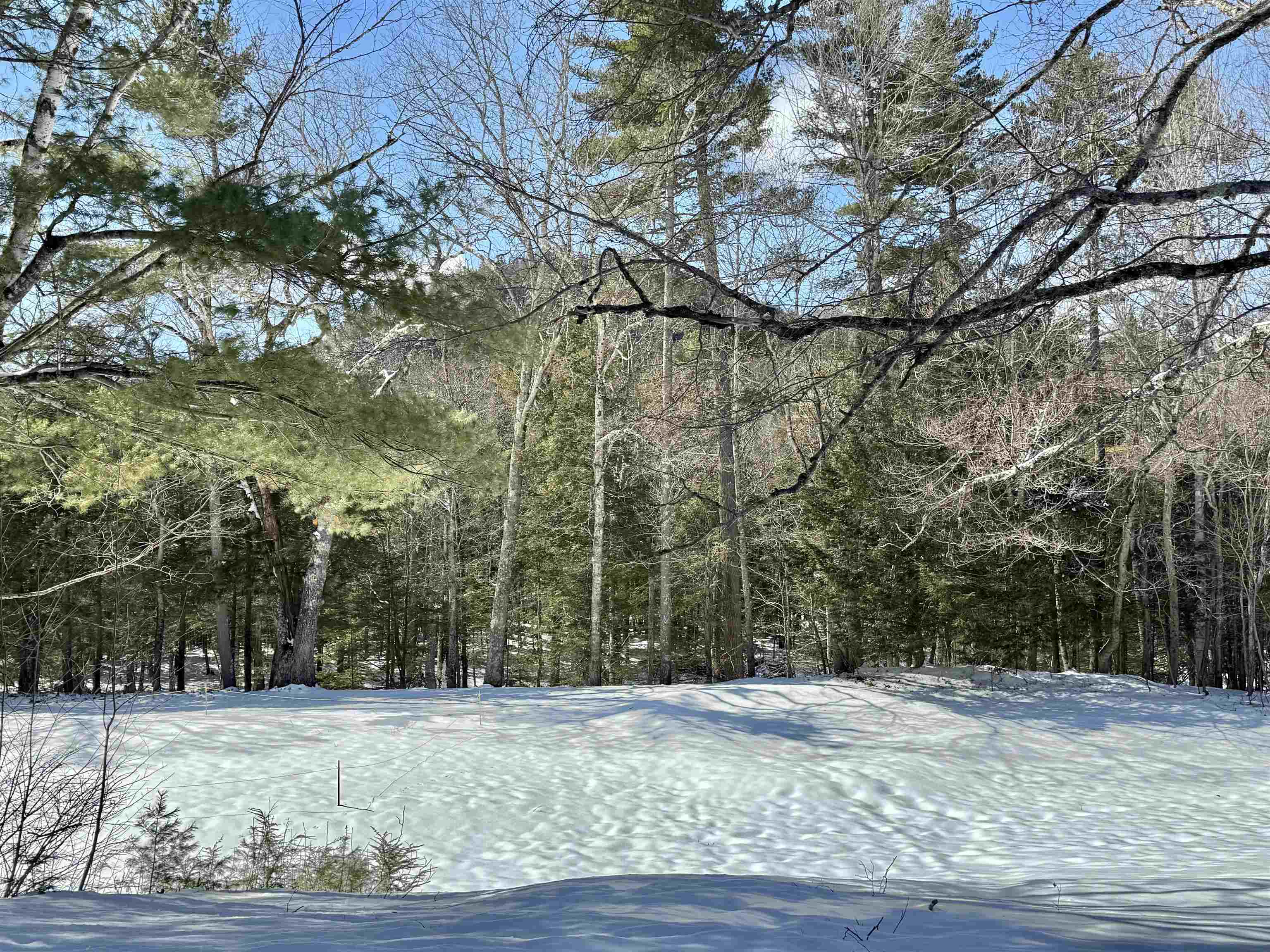 48 Linderhof Golf Course Road, Unit E3 Bartlett, NH 03838 - Photo 26 of 38