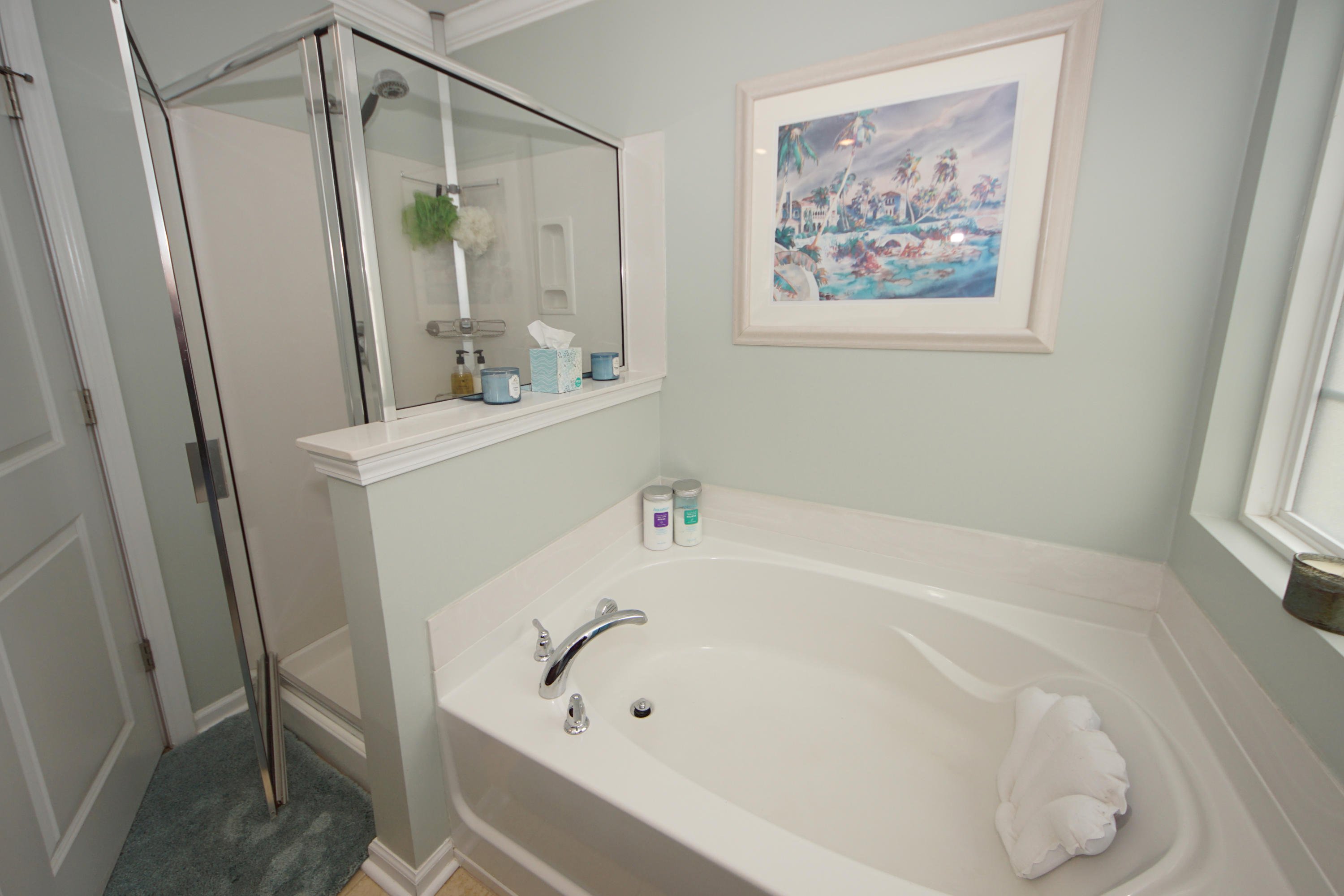 5024 White Cedar Road Ladson, SC 29456 - Photo 30 of 51 Master Bathroom