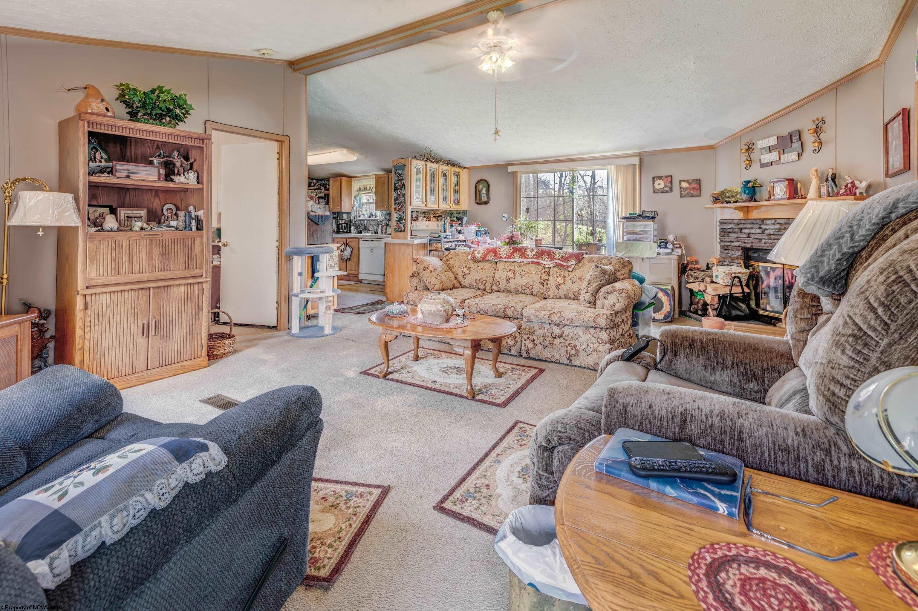 223-227 Ridge Farms Road Rivesville, WV 26588 - Photo 40 of 50 Gallery Image 40