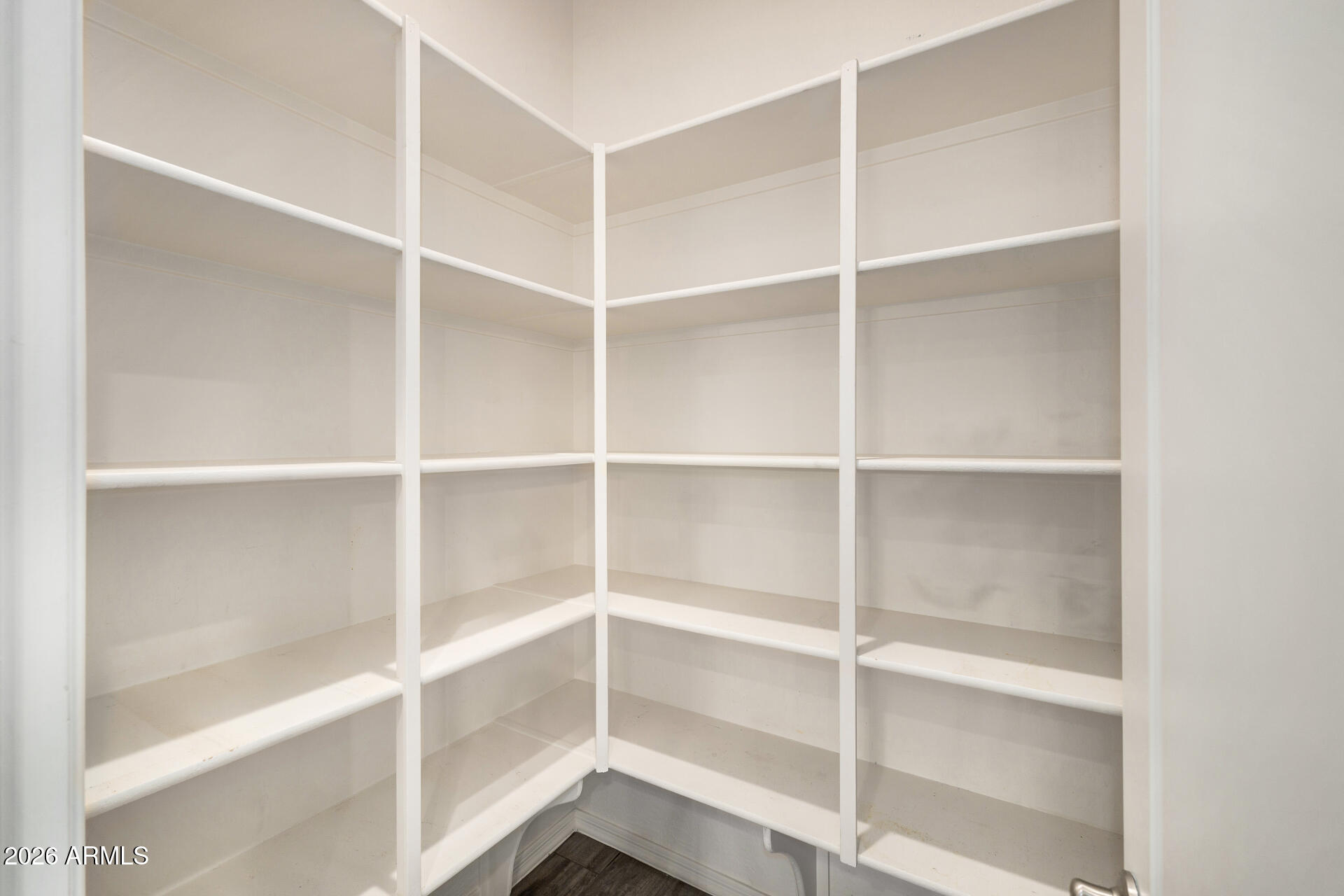 20570 East Mayberry Road Queen Creek, AZ 85142 - Photo 16 of 41 Large Pantry