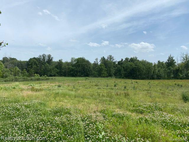 70-acres Hoyt Road Ionia, MI 48846 - Photo 8 of 9 Gallery Image 8