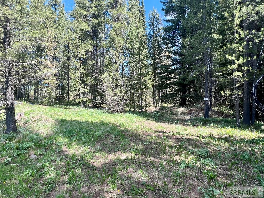 3547 Browning Road Island Park, ID 83429 - Photo 1 of 1 Gallery Image 1