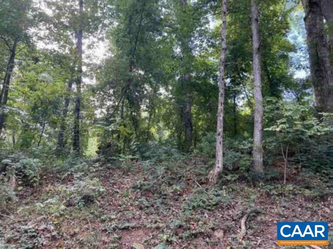 Tbd Dry Bridge Road Charlottesville, VA 22903 - Photo 3 of 4