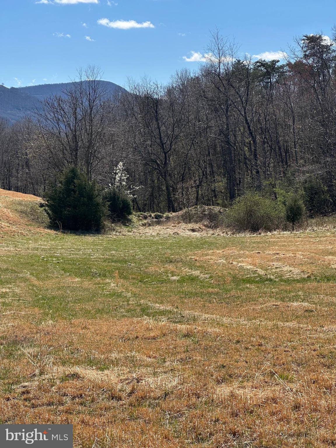 Lot C Russ Johnson Road Front Royal, VA 22630 - Photo 2 of 6 Gallery Image 2