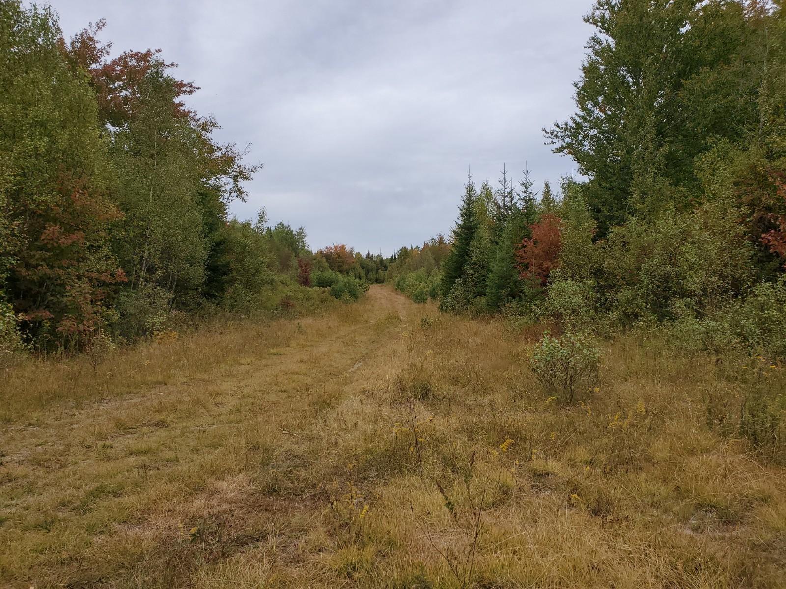 11 Sheepskin Road Carroll Plt, ME 04487 - Photo 7 of 9 20200922_145127
