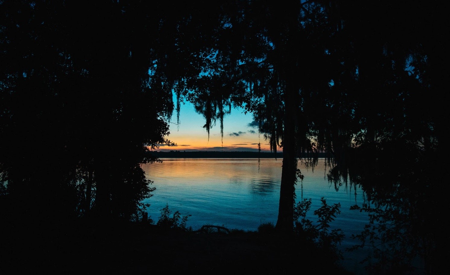11-24-79 Sanctuary Road Huntsville, TX 77340 - Photo 24 of 26 a view of lake from yard
