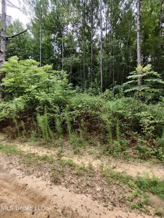 $7,400 | No North Lakeshore Drive, Lumberton, MS 39455