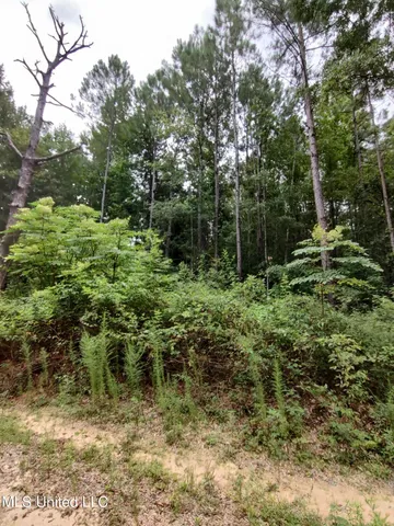 $7,400 | No North Lakeshore Drive, Lumberton, MS 39455