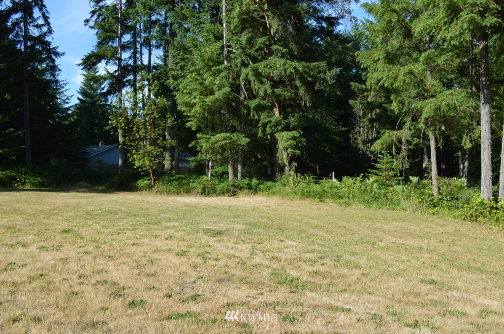 13091 Hadfield Road Southeast Olalla, WA 98359 - Photo 5 of 20 Gallery Image 5