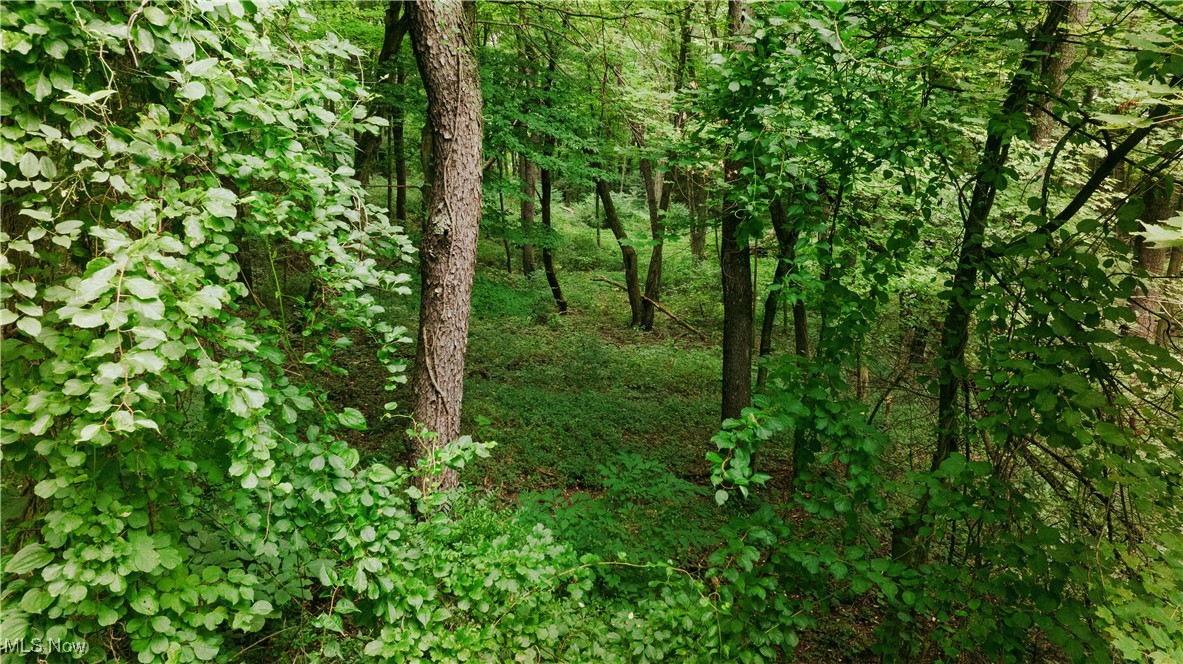 3555 Riverside Drive Northwest Massillon, OH 44647 - Photo 21 of 25 View of nature