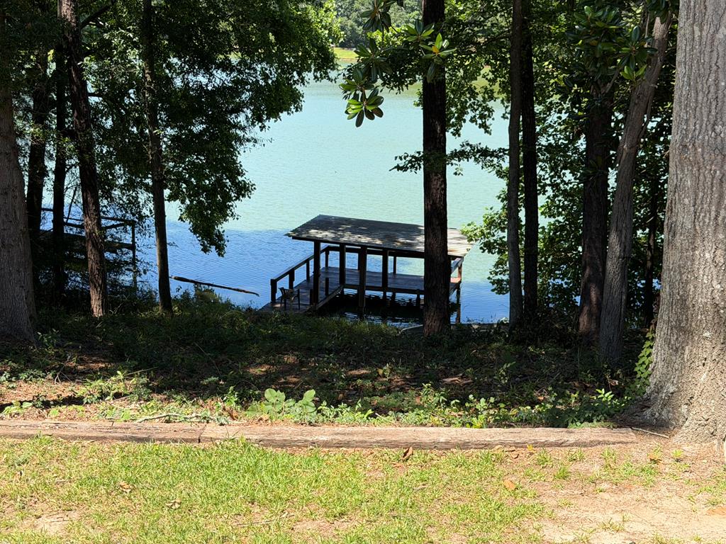 301 South Oak Ridge Drive Enterprise, AL 36330 - Photo 38 of 54