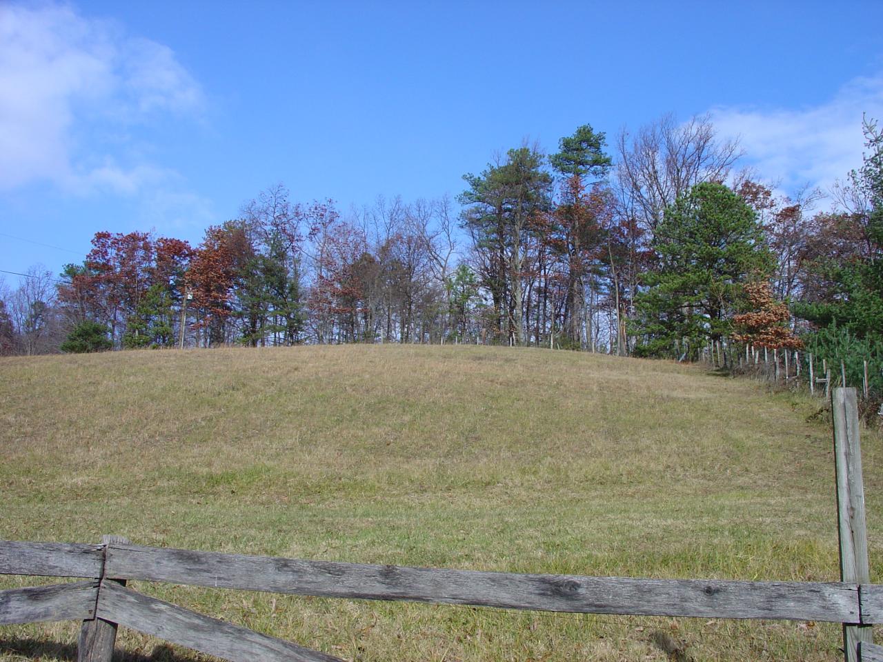 4463 Daugherty Road Salem, VA 24153 - Photo 17 of 18 a view of a field with trees in background