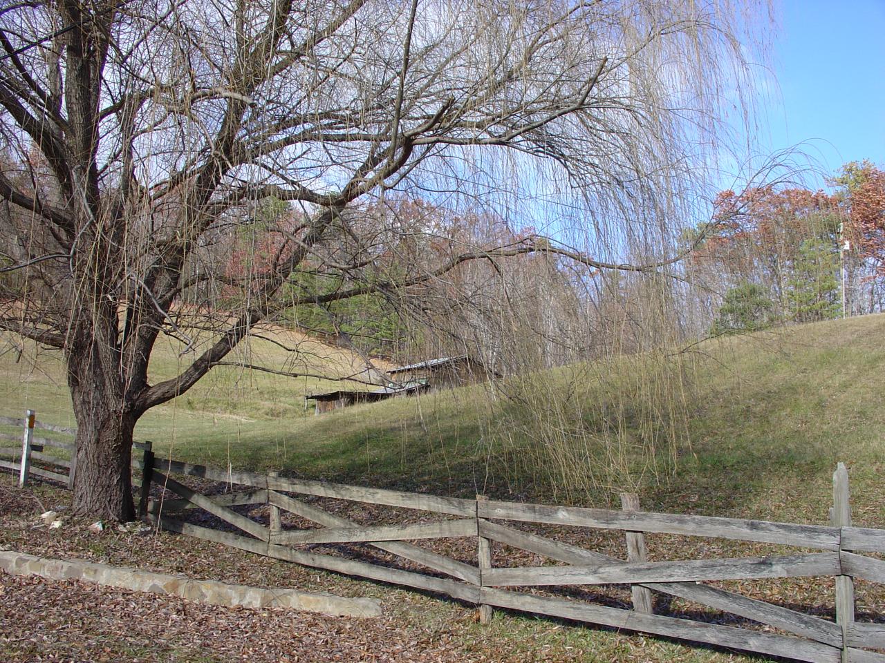 4463 Daugherty Road Salem, VA 24153 - Photo 4 of 18 a backyard of a house with lots of green space