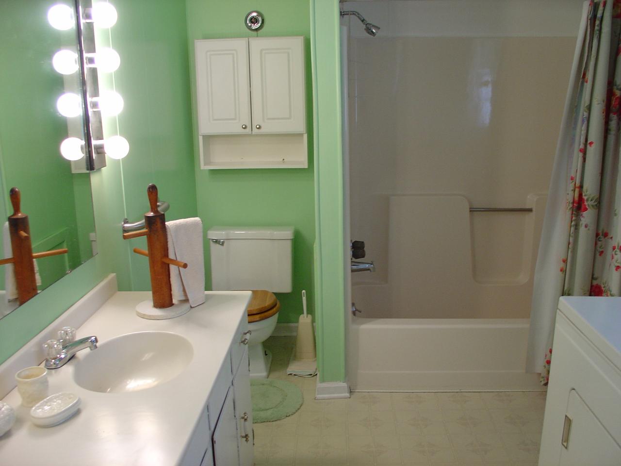 4463 Daugherty Road Salem, VA 24153 - Photo 10 of 18 a bathroom with a sink a toilet and shower
