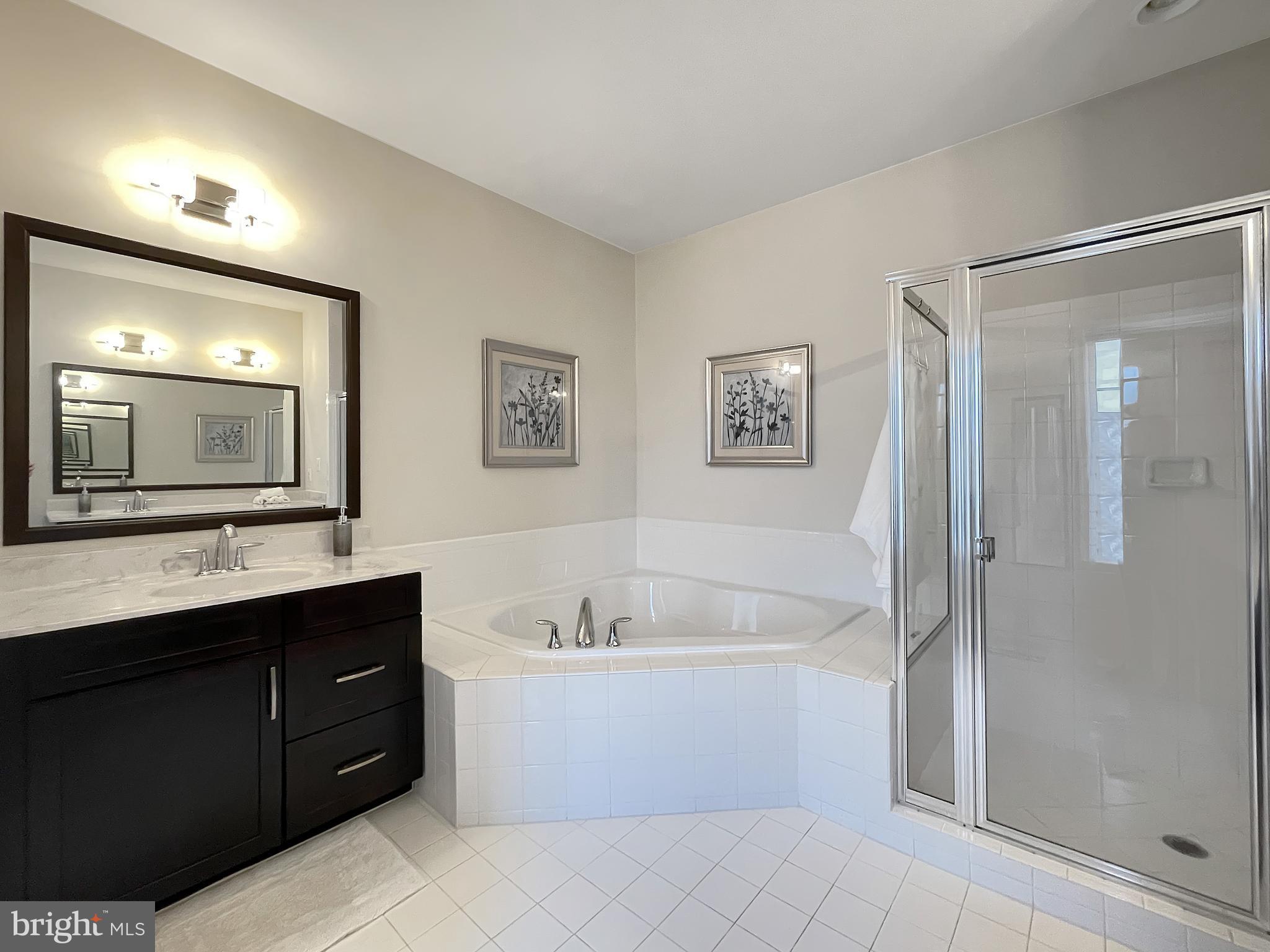 43080 Old Ryan Road Ashburn, VA 20148 - Photo 31 of 64 En-suite Master Bath