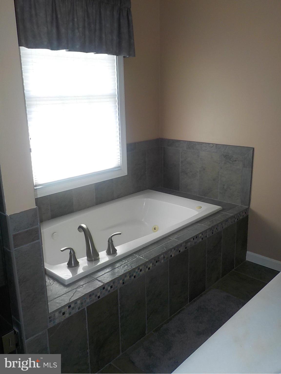 3881 Laurel Grove Road Federalsburg, MD 21632 - Photo 15 of 27 Bath (Master)