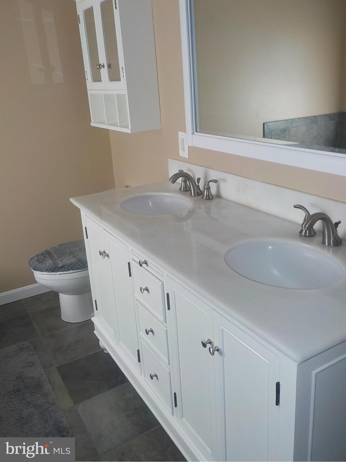 3881 Laurel Grove Road Federalsburg, MD 21632 - Photo 16 of 27 Bath (Master)