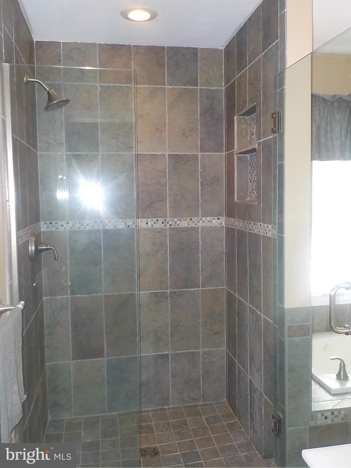 3881 Laurel Grove Road Federalsburg, MD 21632 - Photo 17 of 27 Bath (Master)